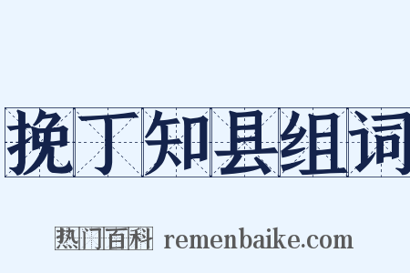 挽丁知县组词是什么意思的图片